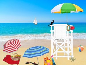 beach-1485630_640